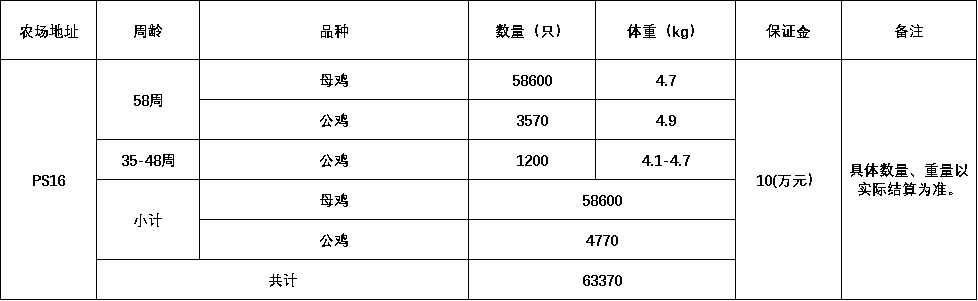 PS16.png